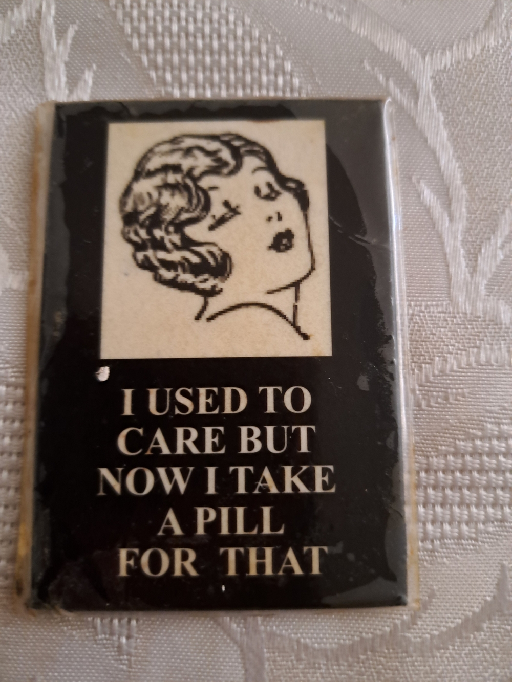 Novelty Black Magnet - "I Used To Care" Retro Design